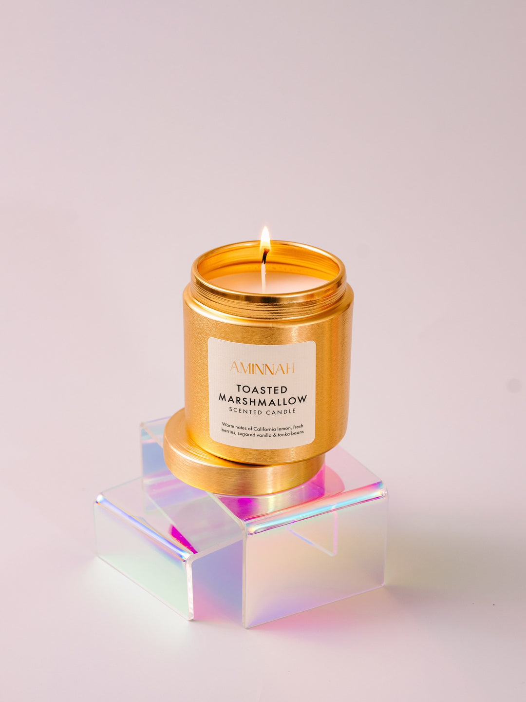 Toasted Marshmallow coconut soy Candle Tin